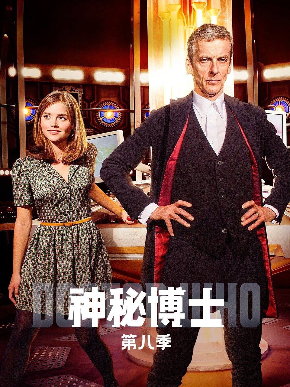神秘博士 第八季