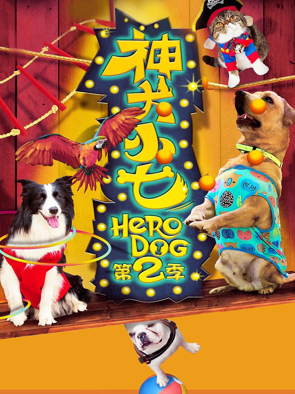 神犬小七 第二季